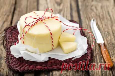 Как сделать сыр в домашних условиях: 5 вариантов - Будет вкусно - 23 октября - 43941210339 - Медиаплатформа МирТесен