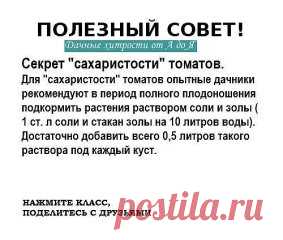 ОЧЕНЬ РЕДКО ВСТРЕТИШЬ ТАКИЕ СОВЕТЫ