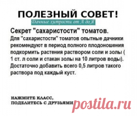 ОЧЕНЬ РЕДКО ВСТРЕТИШЬ ТАКИЕ СОВЕТЫ