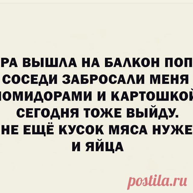 Photo by Смеемся вместе!😅😅😅 on April 18, 2020. Image may contain: text that says 'вчера вышла на балкон попеть. соседи забросали меня помидорами и картошкой. сегодня тоже выйду. мне ещё кусок мяса нужен и яйца'