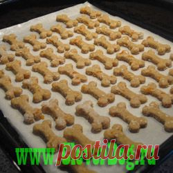Кулинария для собак — Собака - ДРУГ человека. Не его раб...