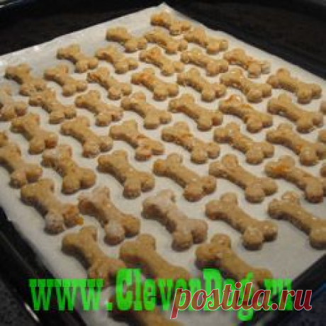 Кулинария для собак — Собака - ДРУГ человека. Не его раб...