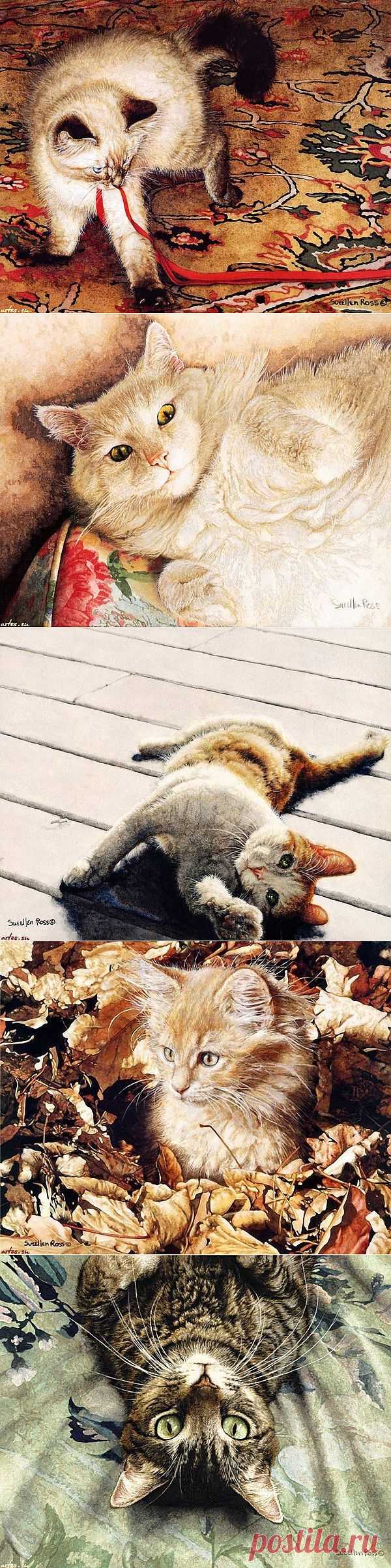 Блоги@Mail.Ru: Кошачий мир американской художницы Sueellen Ross