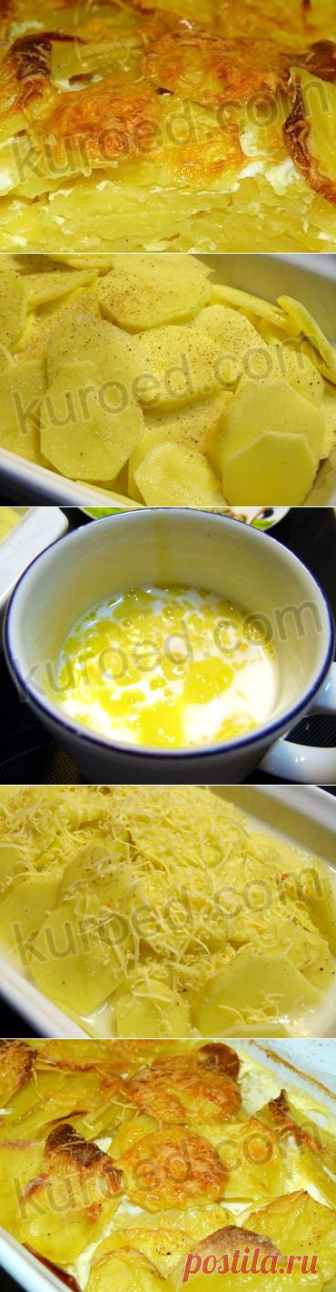 РЕЦЕПТЫ | Картофель дофинэ, запеченный с молоком и сыром (Gratin dauphinois)