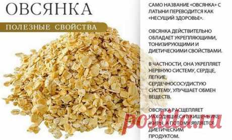 В чём разница между геркулесом и овсянкой: чем отличаются геркулесовые хлопья от овсяных, отличия каш, что полезнее и лучше, фото крупы