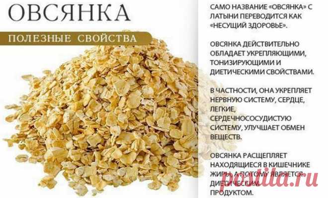 В чём разница между геркулесом и овсянкой: чем отличаются геркулесовые хлопья от овсяных, отличия каш, что полезнее и лучше, фото крупы