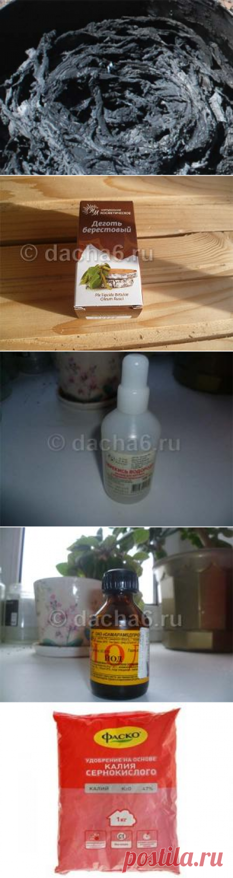 Применение березового дегтя в саду и огороде