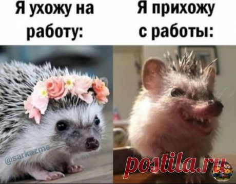 И даже не дышите в мою сторону))🤣