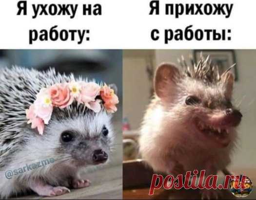 И даже не дышите в мою сторону))🤣