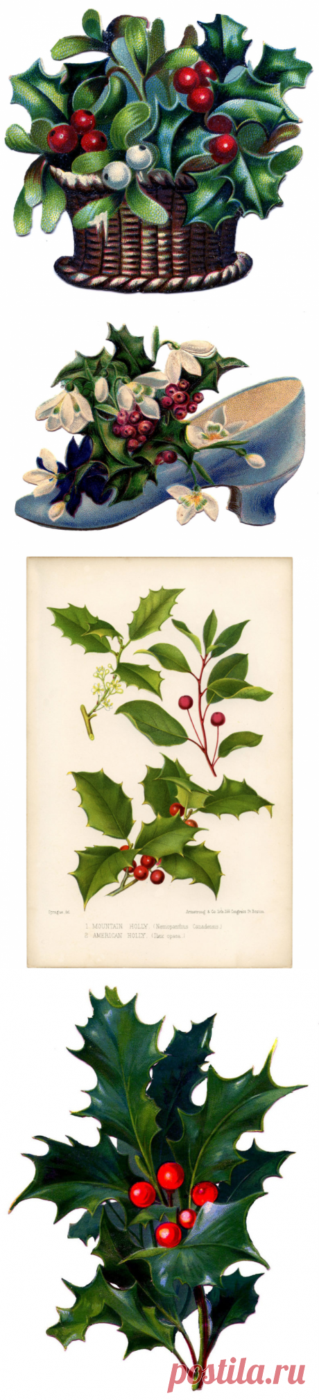 14 Рождественских Изображений Холли! - Графика Сказочная