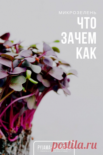 Как легко и просто вырастить микрозелень дома? И зачем это вообще делать? Необыкновенная польза микрогрин и ее многочисленные виды Вас точно убедят...