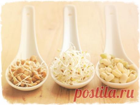 Еще раз о том, чем же так полезны пророщенные зерна