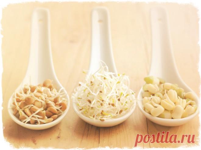 Еще раз о том, чем же так полезны пророщенные зерна