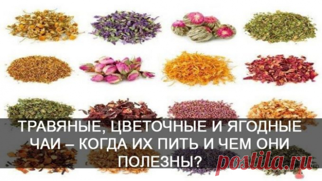 ТРАВЯНЫЕ, ЦВЕТОЧНЫЕ И ЯГОДНЫЕ ЧАИ 🌸 🌸🌸 🌸🌸 🌸🌸 🌸🌸 🌸🌸 🌸🌸 🌸 КОГДА ИХ ПИТЬ И ЧЕМ ОНИ ПОЛЕЗНЫ — Полезные советы