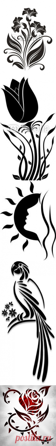 (81) Pinterest