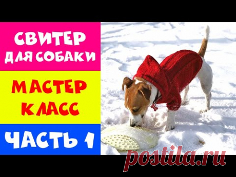 ВЯЗАНИЕ ДЛЯ СОБАКИ. КАК ВЯЗАТЬ СВИТЕР ДЛЯ СОБАКИ. МАСТЕР КЛАСС - ЧАСТЬ 1. Вязание для начинающих