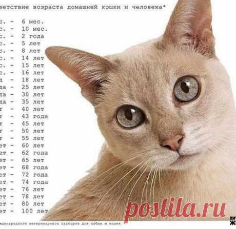 50 способов сэкономить свое время