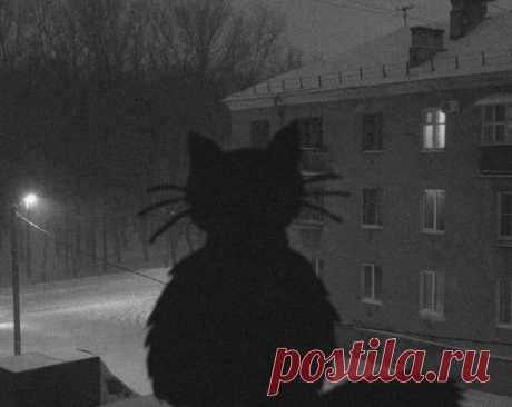 Доброго утра. Хорошего дня.
Тихого вечера в доме уютном.
Вдох – с удовольствием.., 
Выдох – любя.., 
Счастья в мгновениях ежеминутных..