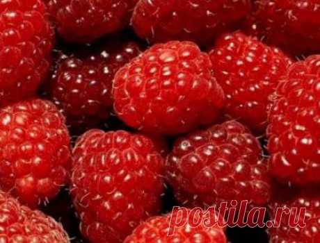 Малиновое варенье – природный доктор и вкуснейший десерт / Простые рецепты