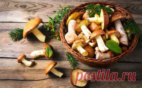 Niekada mums grybų nebus per daug - 26 skanutėliai receptai žiemai ir kasdienai! | La Maistas