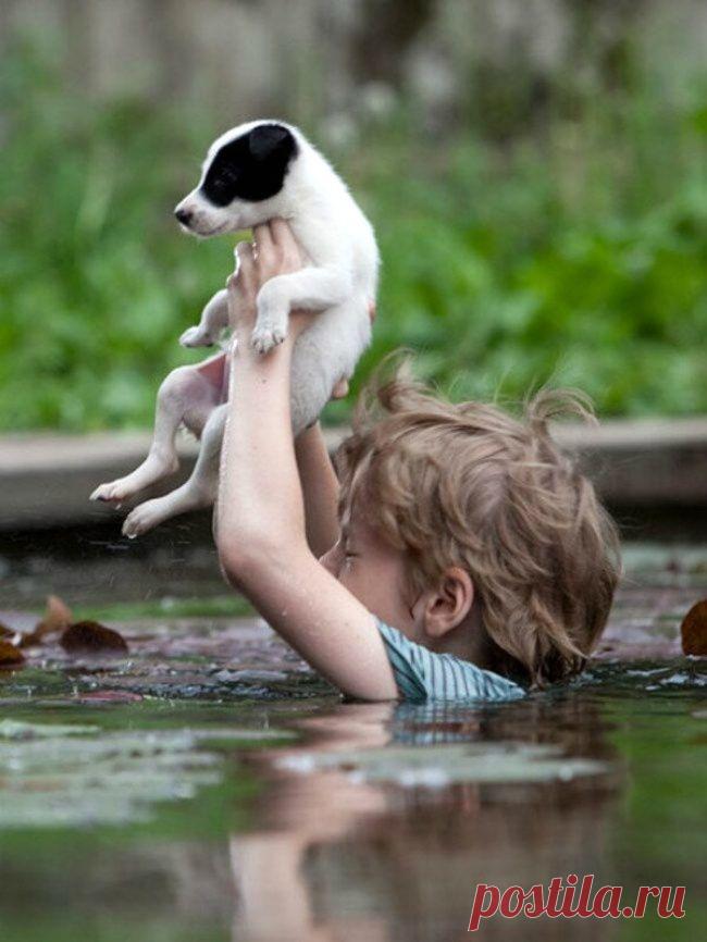 12 фотографий о том, что хеппи-энд бывает не только в кино