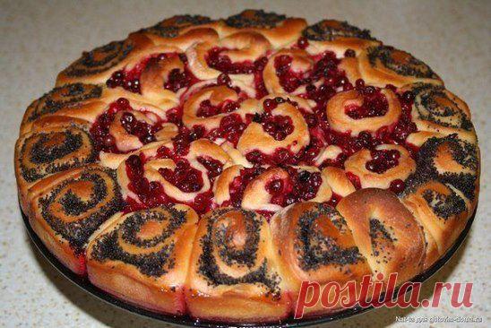 (1) Одноклассники