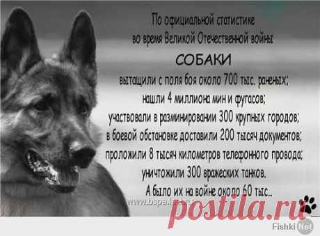 l o q o ʇ
Украина, ██████ сотри монеткой - узнаешь...