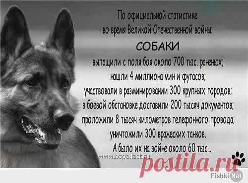 l o q o ʇ
Украина, ██████ сотри монеткой - узнаешь...