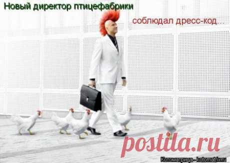 Может повеселимся с курочками?