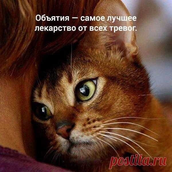 ...обнимашек