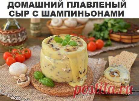 домашний плавленый сыр с  шампиньонами