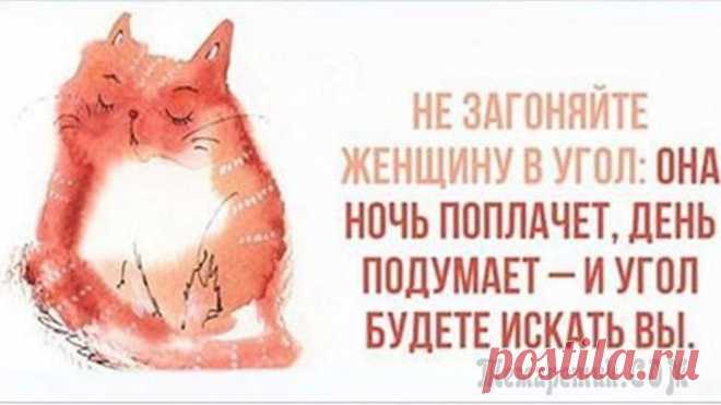 Мужчинам не понять! 22 открытки, понятные только женщинам Мужчинам не понять! 22 открытки, понятные только женщинам
Женщины — прекрасные, непредсказуемые и восхитительные существа, которые способны удивлять даже самих себя, что уж говорить об остальной части...