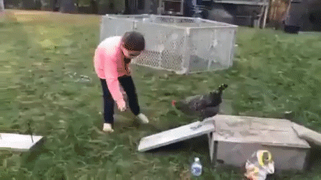 Adm.Tatiana Pavlova - Google+