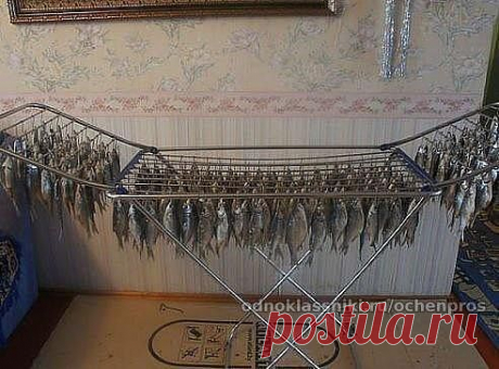(43) Одноклассники