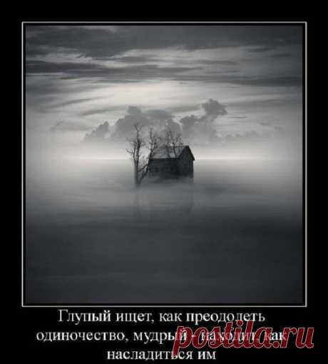 Сообщение (1)