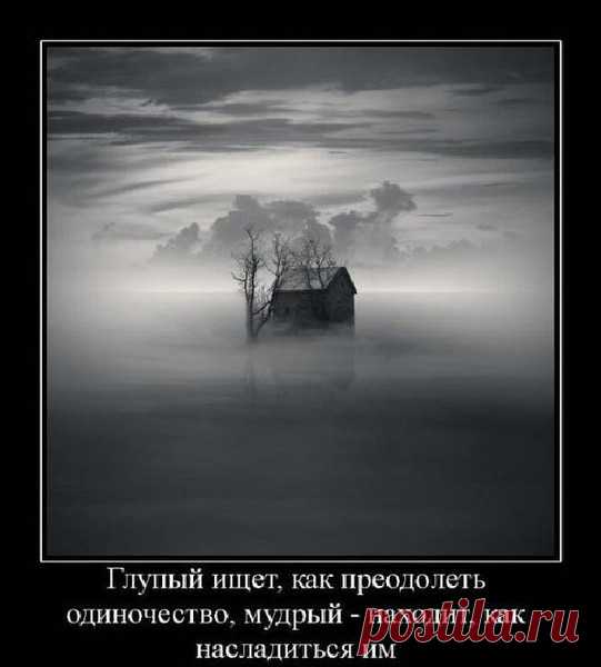 Сообщение (1)