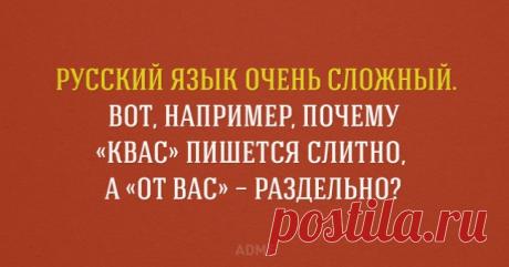 20 занимательных фактов о русском языке
