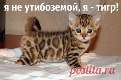 Мои закладки