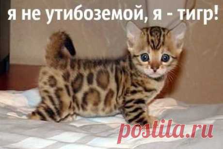 Мои закладки
