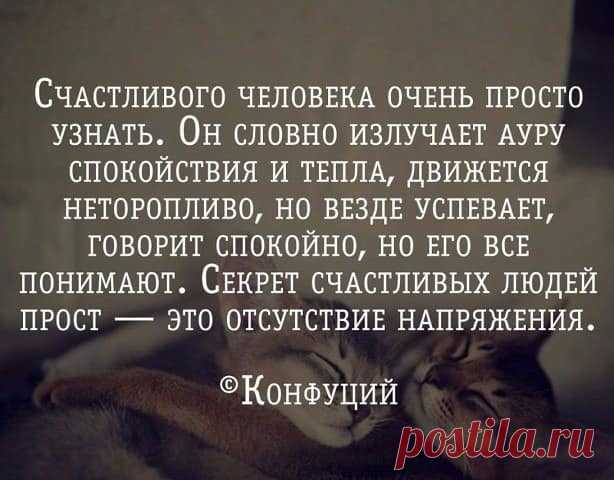 Мария Морева | Facebook