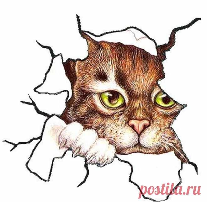 av-85479.jpg (1106×1080)