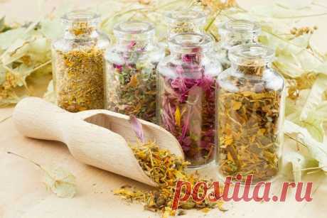 Противовоспалительные растительные средства