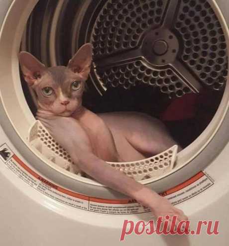 Не надо крутить барабан... Я готов назвать слово