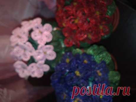 фиалкиhttps://postila.ru/post/7155645