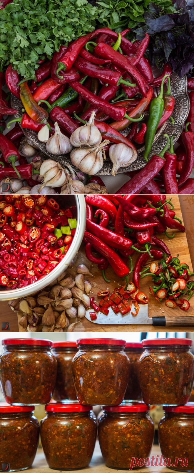Заготовки, ч.6, аджика. - КУЛИНАРНЫЕ ЭТЮДЫ