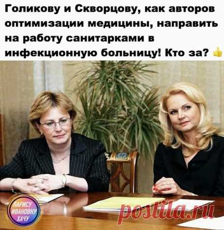 Елена Чайкина