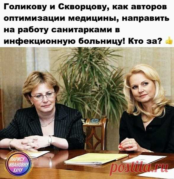 Елена Чайкина