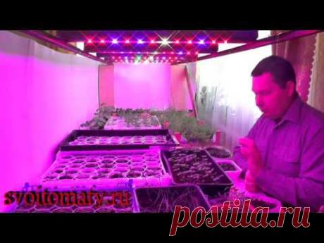Домашний рассадник для цветов - YouTube