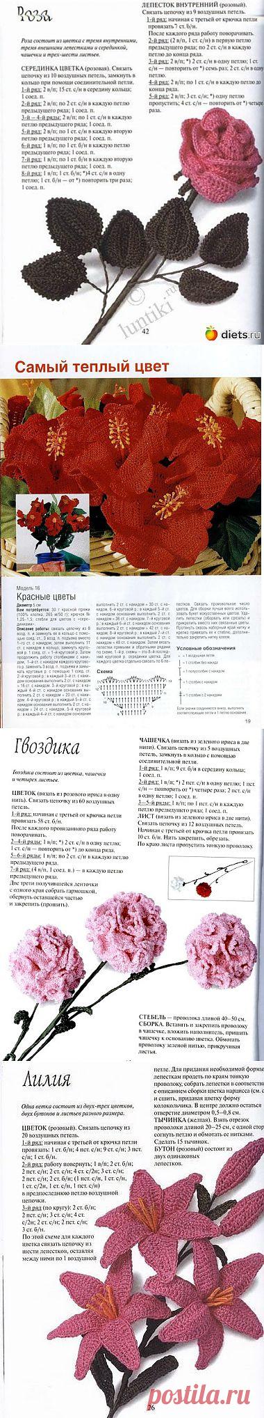 Цветы / Вязание крючком. Ваши работы / PassionForum - мастер-классы по рукоделию