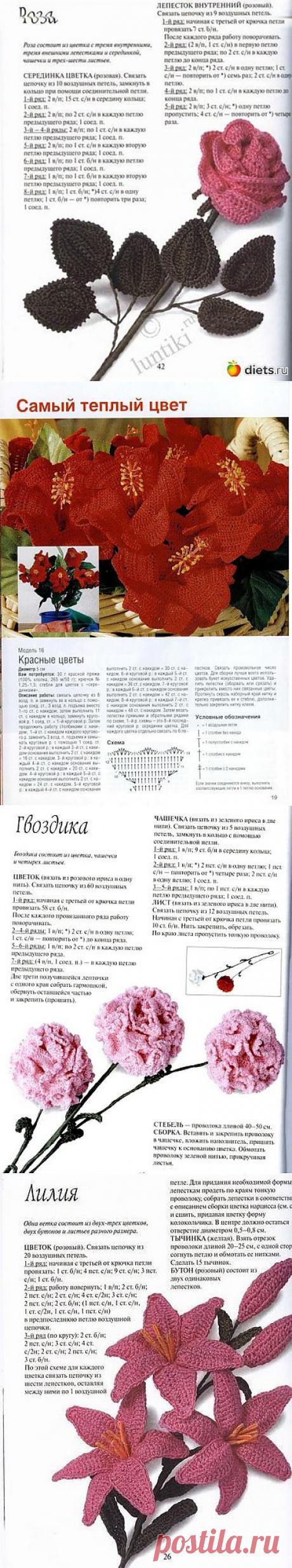 Цветы / Вязание крючком. Ваши работы / PassionForum - мастер-классы по рукоделию